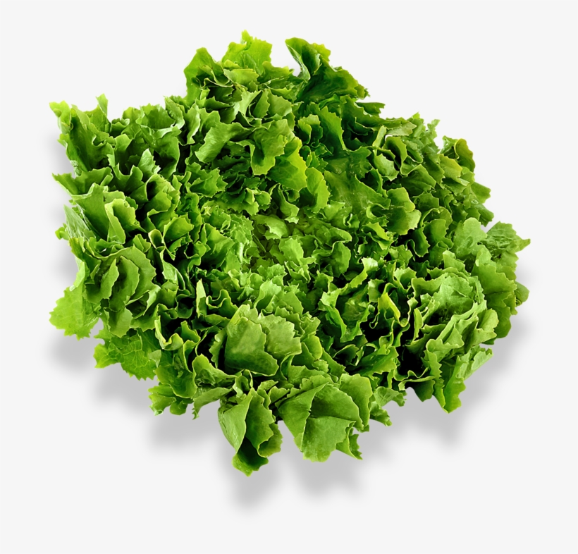 Probably Because The Shadow Adds Width And Height To - Clipping Path, transparent png download