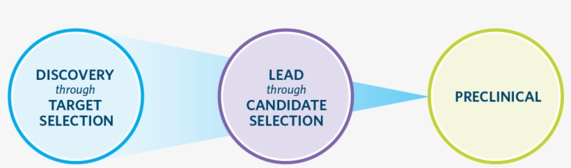 Broad Applications Across The Discovery & Preclinical - Pre-clinical Development, transparent png download