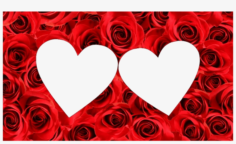 Molduras Dia Dos Namorados Para 2 Fotos - Gladsbuy Rose Wall 5 X 7 Computer Printed Photography, transparent png download