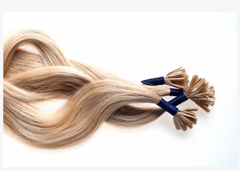 Extensions Color - Robert Nathaniel Dett, transparent png download