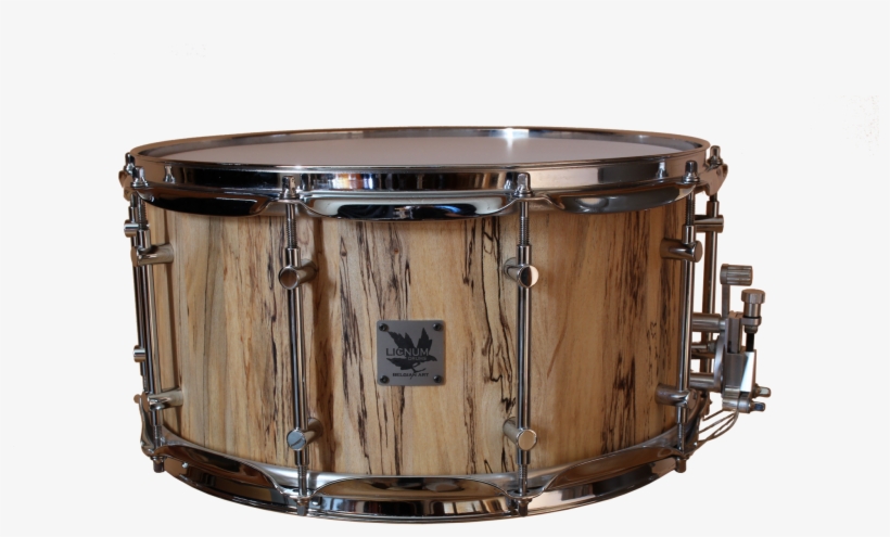 Steelhoop Snares - Antoni Porowski, transparent png download