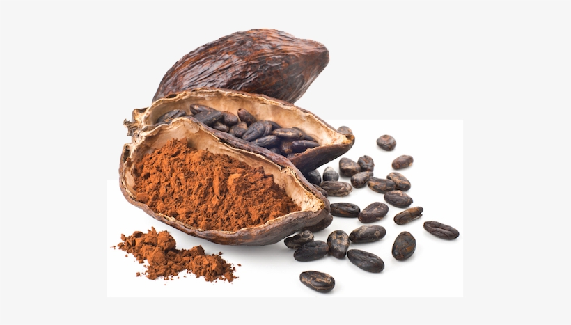 Cacao Beans Chocolate Stack - Cacao And Chocolate Png, transparent png download