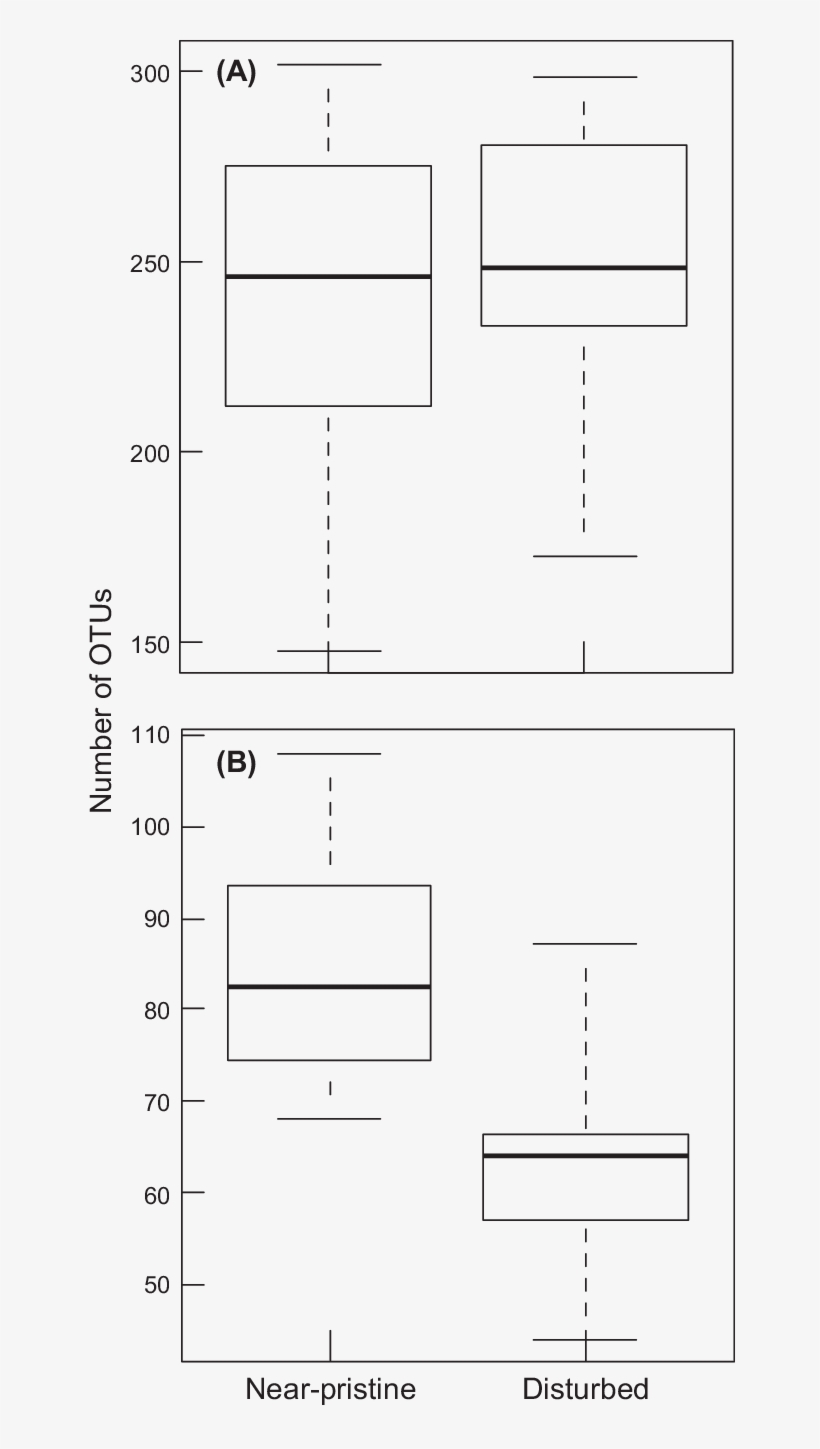 Number Of Bacterial And Fungal (b) Otus In The Sets - Diagram, transparent png download