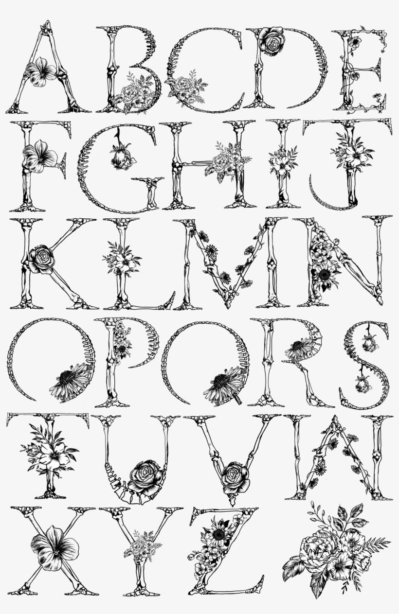 Clip Black And White Stock Anatomical Drawing Flower - Drawing, transparent png download