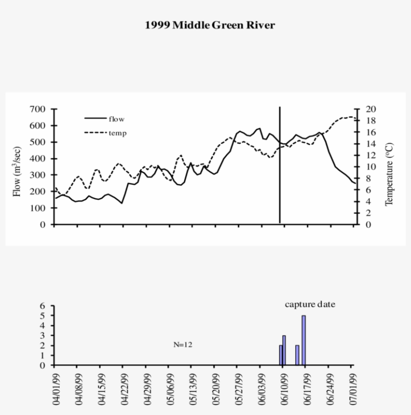 Capture And Otolith Age Estimated Hatching And Spawning - Diagram, transparent png download