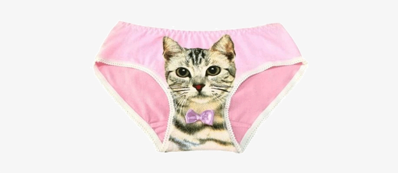 Itgirl Shop Pussy Cat Print Panties Aesthetic Apparel, - Pussy Cat, transparent png download