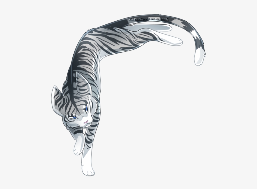 Cat Transparent Tumblr - Silverstream, transparent png download