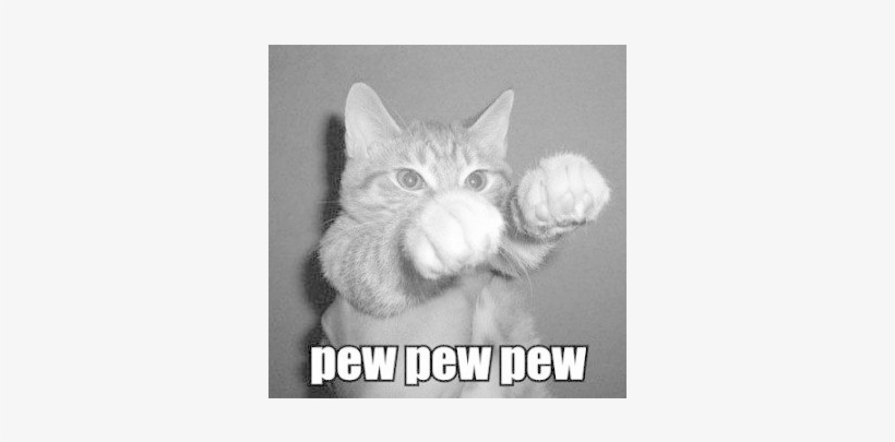 Lolcat 16 Bit - Pew Pew Pew, transparent png download