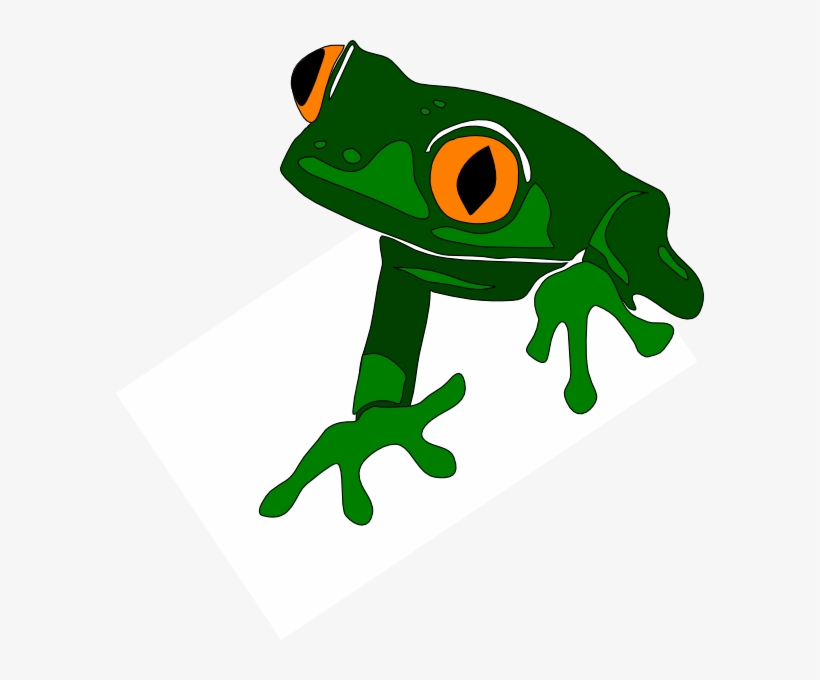 Anfíbios Png, transparent png download