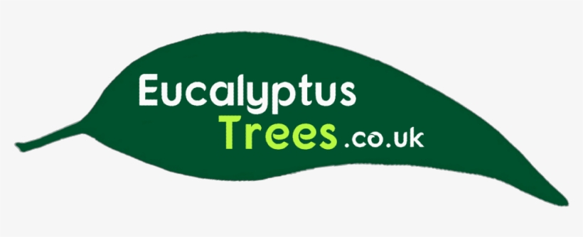 Your Guide To Eucalyptus Gum Trees - Eucalyptus Archeri, transparent png download