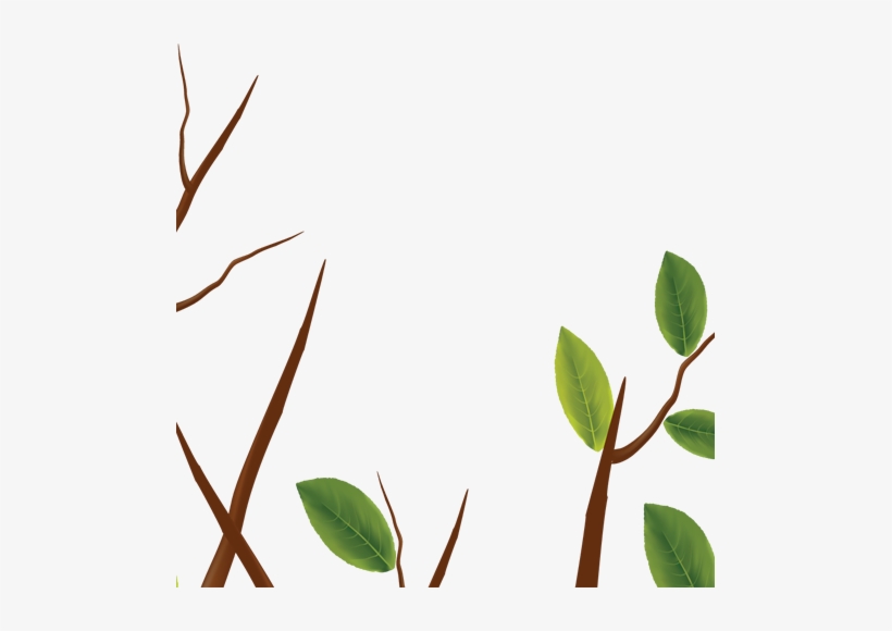 Tree Even 04 - Twig, transparent png download