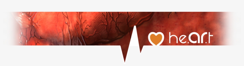 Explore And Learn About Your Heart With This Fun To - Heart, transparent png download