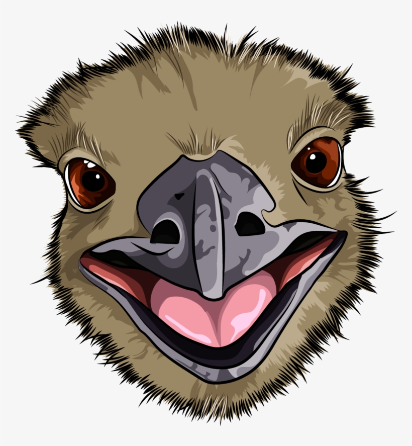 Emu, transparent png download