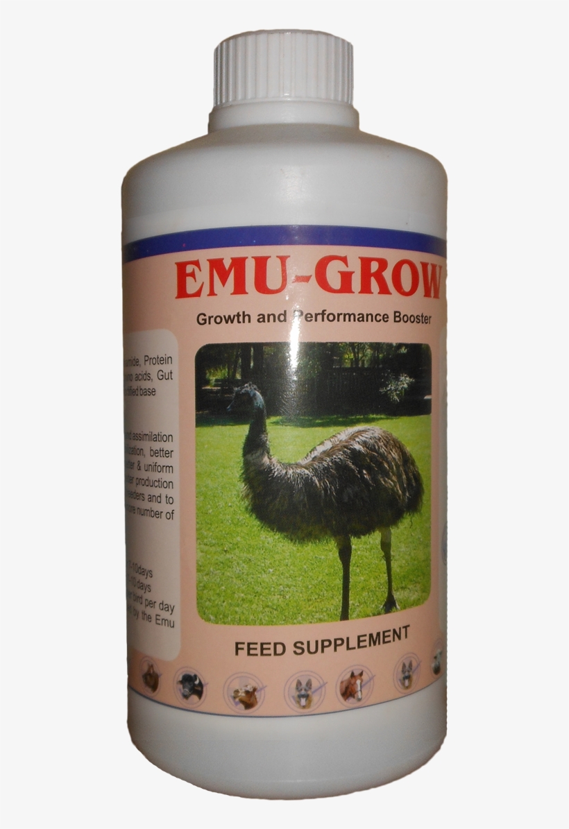 Emu, transparent png download
