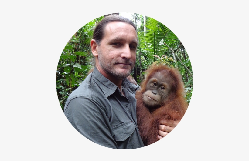 The Orangutan Project Was Established In 1998 By Founder - Leif Cocks, transparent png download