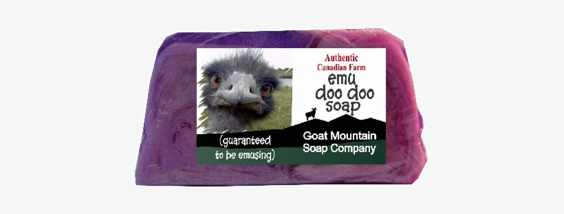 Please - Peek-a-boo Ostrich Postcards (package Of 8), transparent png download