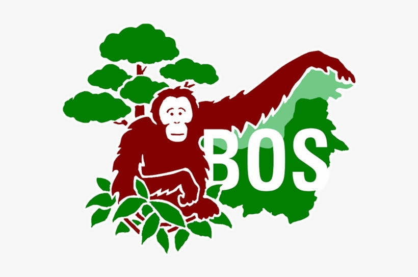 Borneo Orangutan Survival Foundation, transparent png download