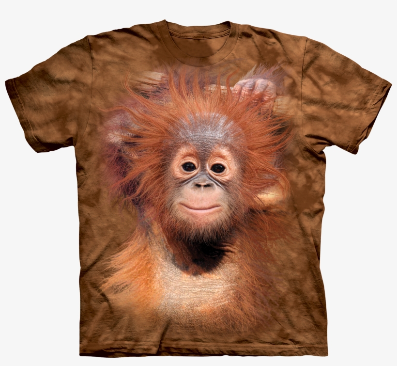 Baby Orangutan - Animal T Shirts, transparent png download