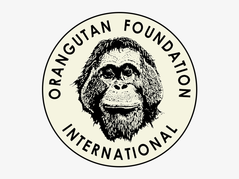 Orangutan Foundation International Volunteers - Orangutan Foundation International, transparent png download
