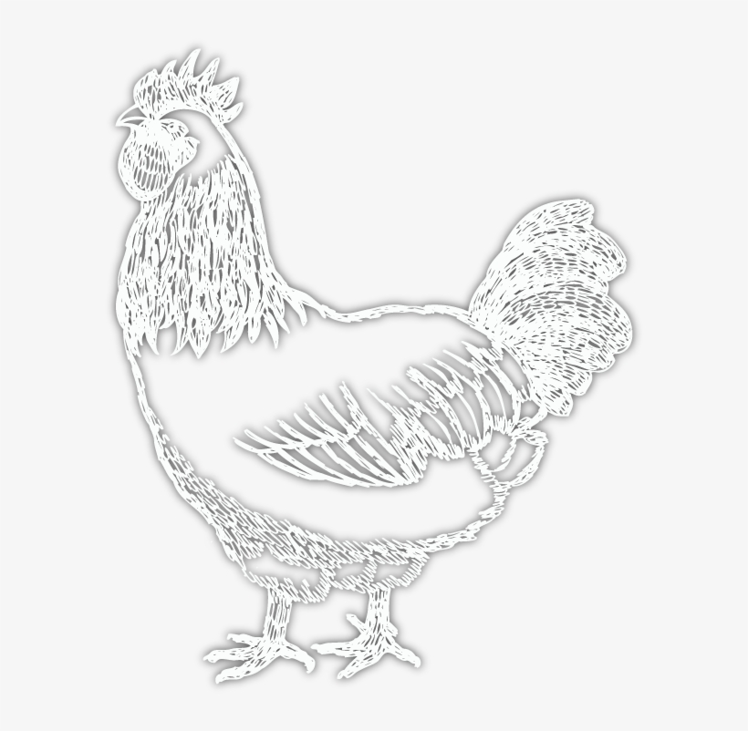 Learn More - Rooster, transparent png download