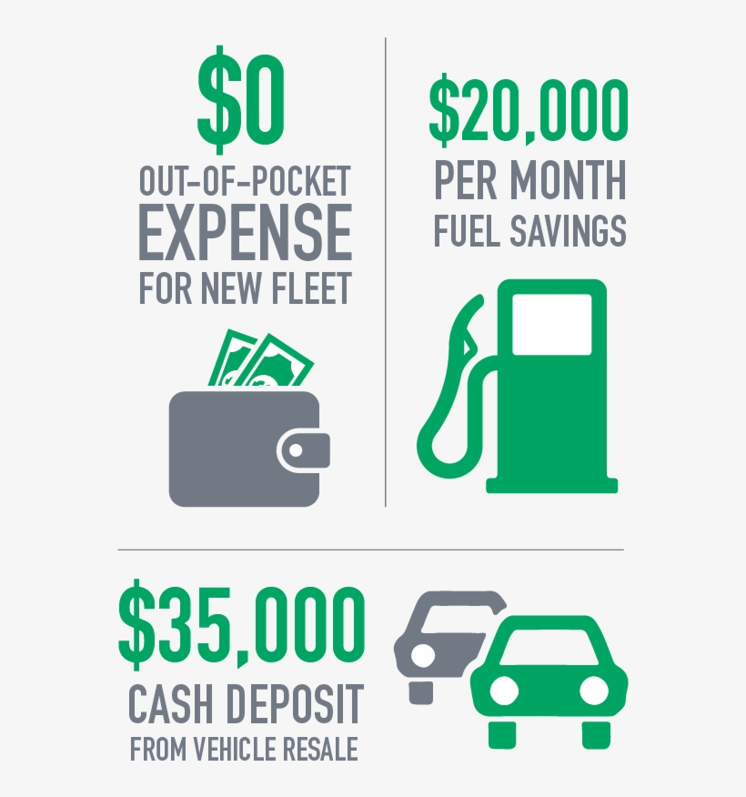 Orangutan, transparent png download