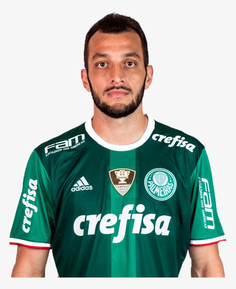 Edudracena - Se Palmeiras Limited Edition Home 2017-2018 Men Jersey, transparent png download