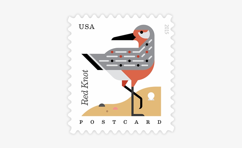 Cheyenne Crawford On Behance - Coastal Birds Stamps Sheet Of 20 Postcard Forever U.s., transparent png download