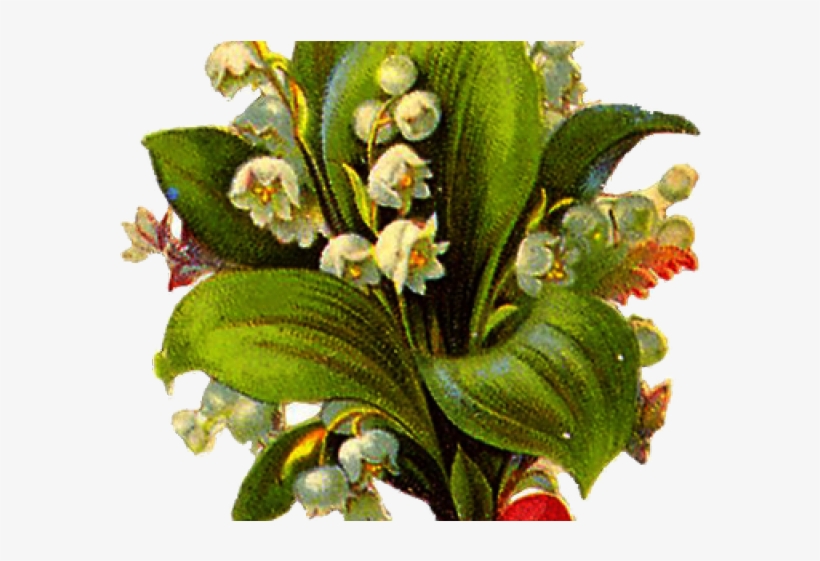 Vintage Flower Clipart Transparent Background - Flower, transparent png download