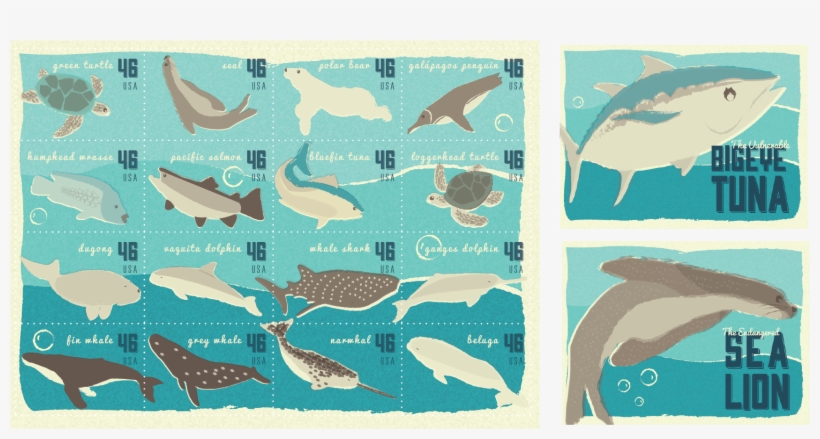 Endangered Sea Life Stamp & Postcard Project - Shark, transparent png download