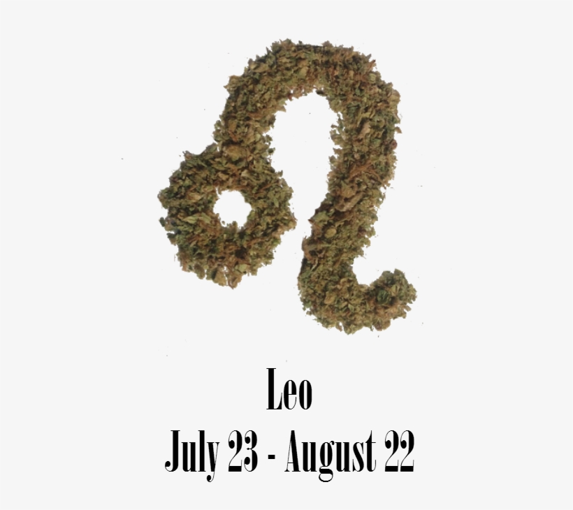 Stoner Leo Monthly Horoscope - Leo Weed, transparent png download