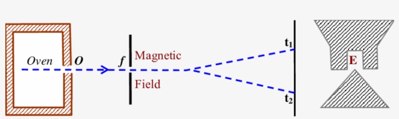 Diagram Of Stern And Gerlach Apparatus, According To - Diagram, transparent png download