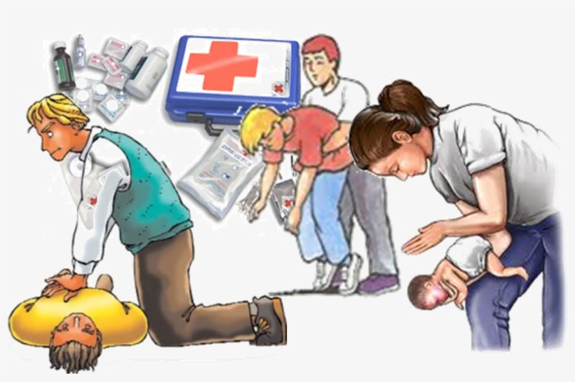 Curso Primeros Auxilios Basicos Cruz Roja - Conscious Choking Infant, transparent png download