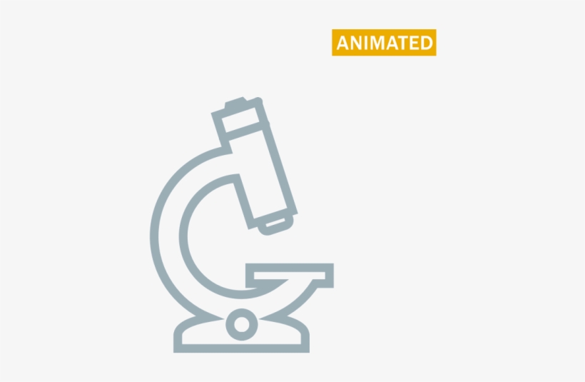 Microscope, transparent png download