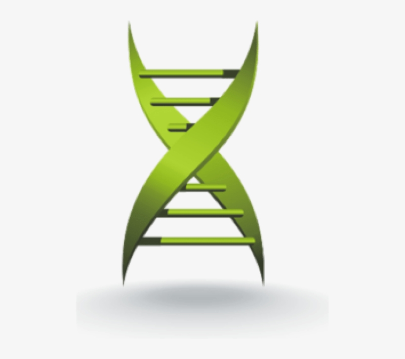 Patients With Sepsis At Higher Risk Of Stroke, Heart - Medical Xpress, transparent png download