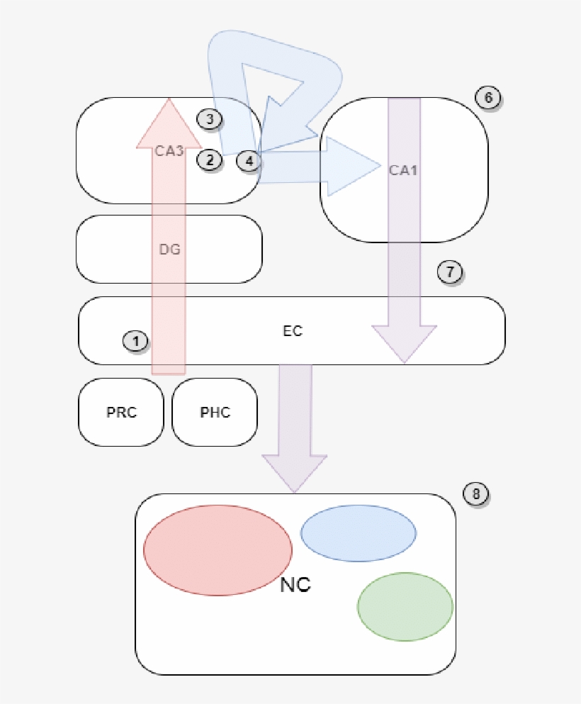 Thesis Objectives - - Thesis, transparent png download