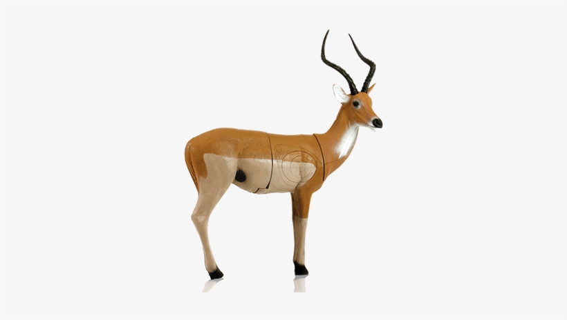 African Impala Pro 3d Target - Mckenzie African Impala, transparent png download