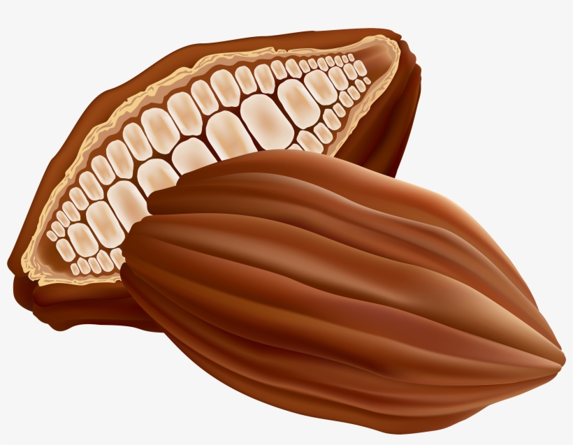 Cocoa Bean Clip Art Transparent PNG - 5000x3642 - Free Download on NicePNG