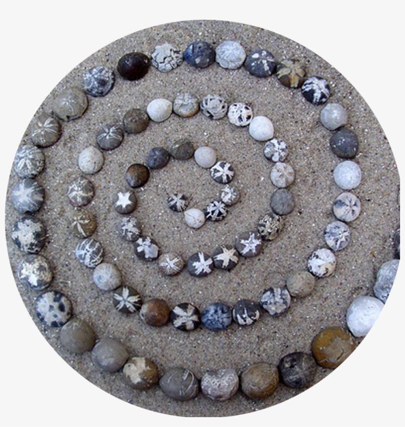 Sea Urchin Fossil In Flint, transparent png download