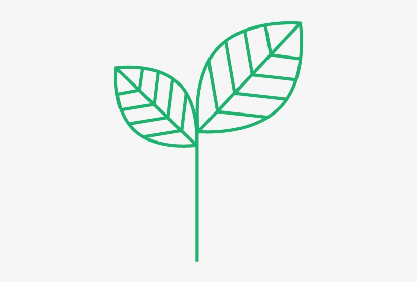 Discover - Vector Graphics, transparent png download