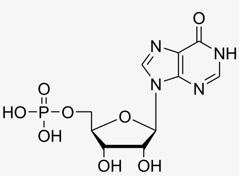 4 Hydroxyphenylpyruvate, transparent png download