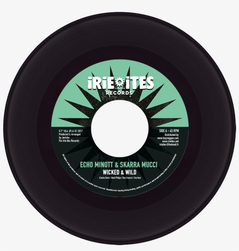 Skarra Echo Vinyl - Keçiören Eğitim Ve Araştırma Hastanesi, transparent png download