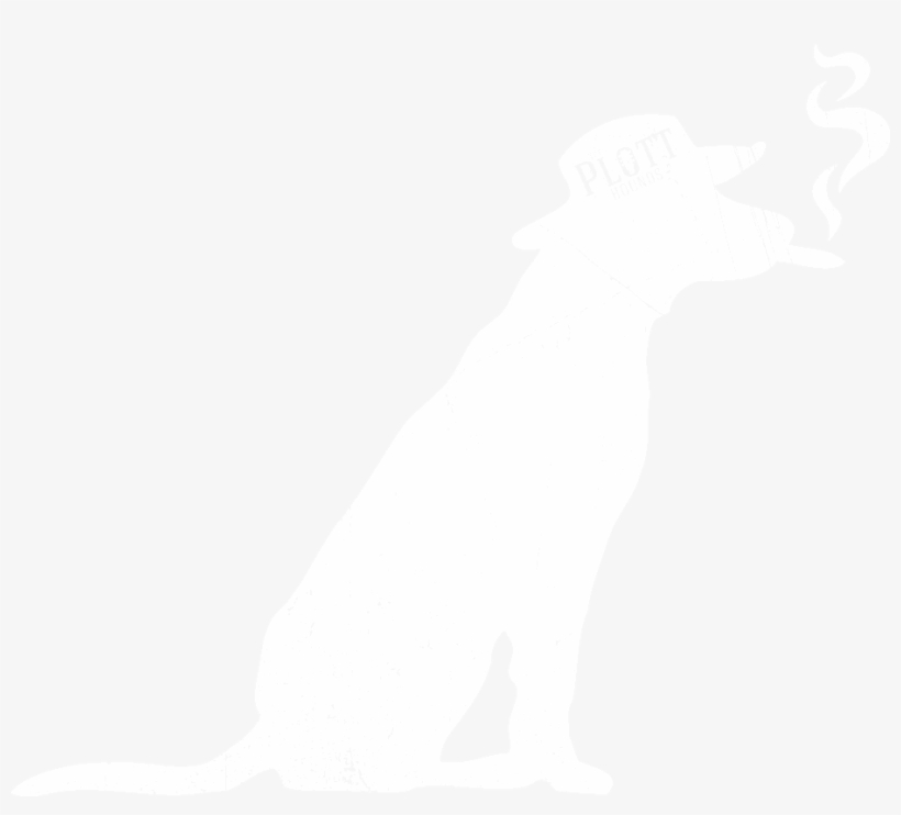 Lyrics - The Plott Hounds, transparent png download