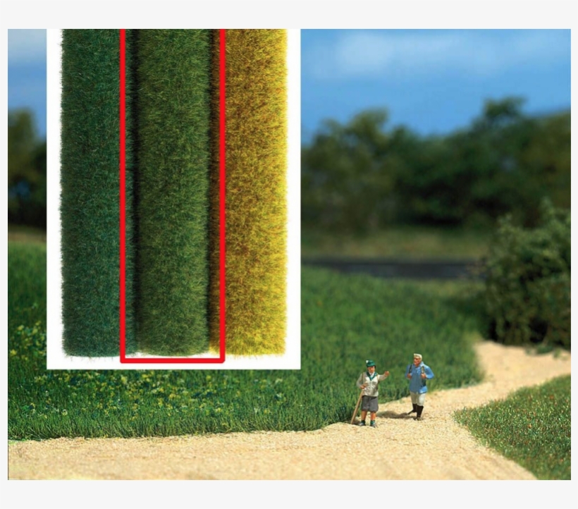 50x40cm Light Green Wild Grass Mats, transparent png download