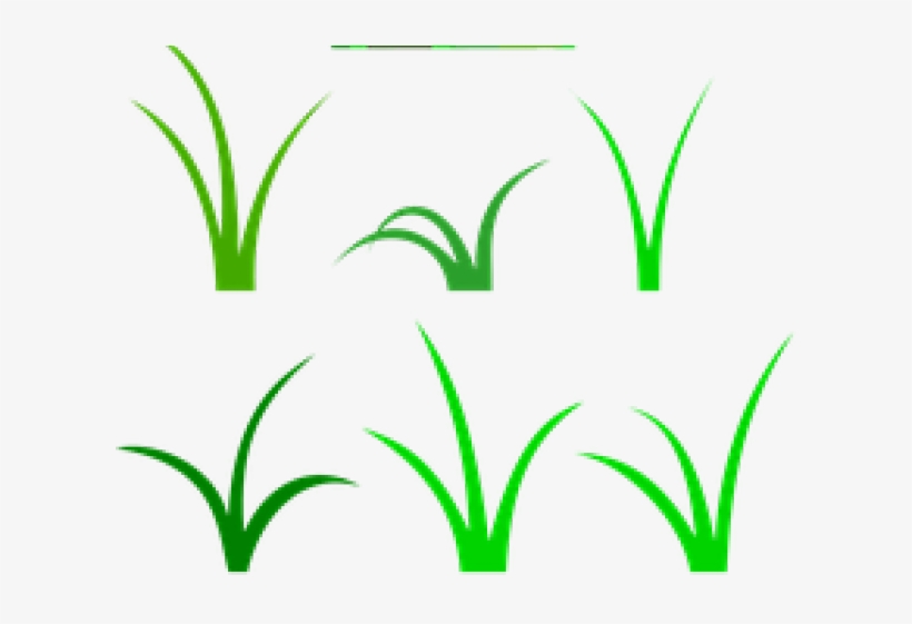 Sea Grass Clipart Wild Grass - Clip Art, transparent png download