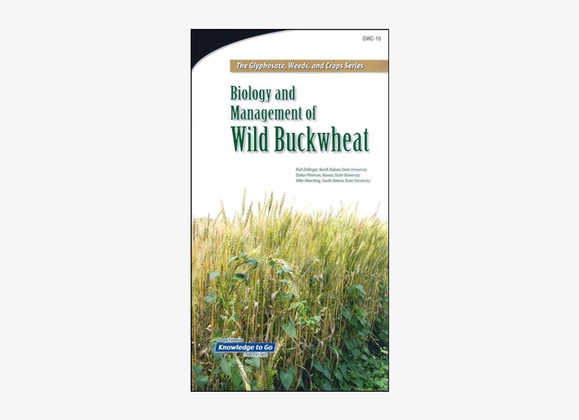 Biology And Management Of Wild Buckwheat The Glyphosate, - Black Bindweed, transparent png download