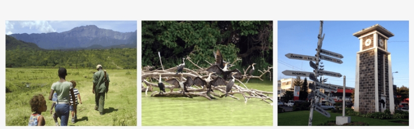 Arusha Is The Safari Capital In Tanzania And Many People - Arusha Region, transparent png download