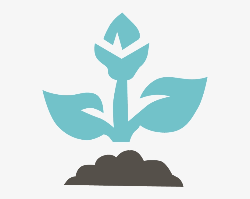 Plant Icon - Wachtel Tree Science And Service, transparent png download