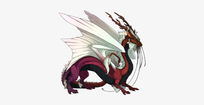 Sora & Shiro From No Game, No Life 5226335 350 - Империал Дракон, transparent png download