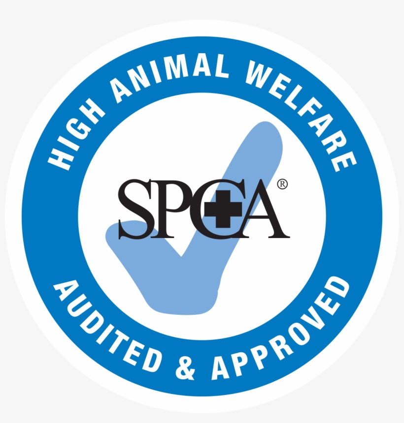 Baptist Student Fellowship Logo, transparent png download