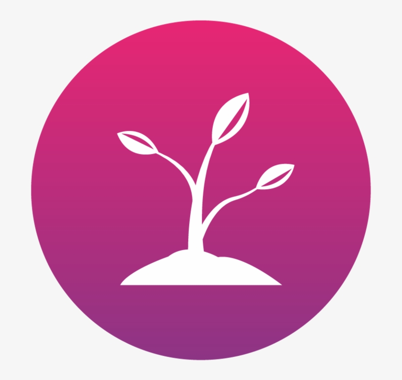 Growth Icon - Icon, transparent png download